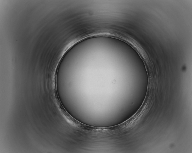 X0000100750858200806190821