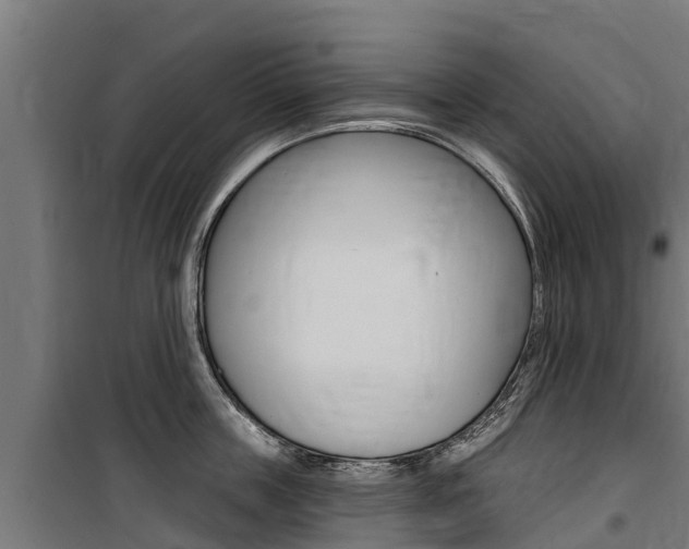 X0000100750859200806190821