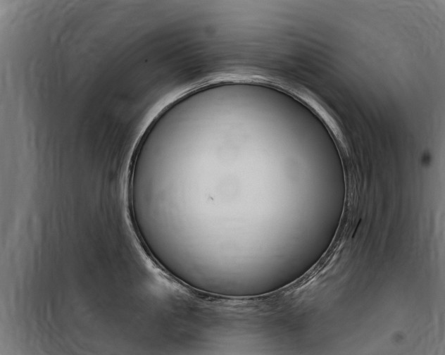 X0000100750861200806190821