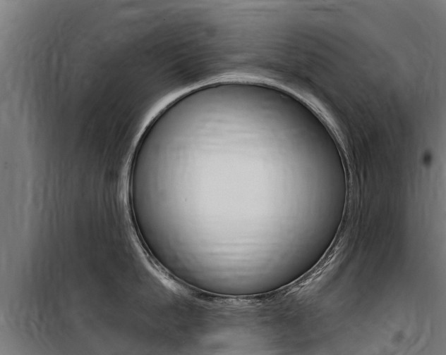 X0000100750862200806190821