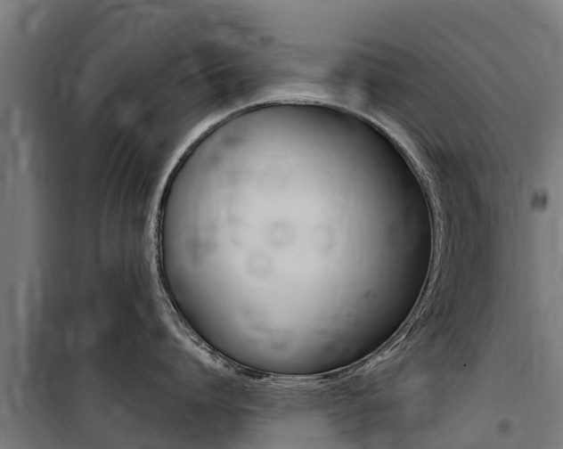 X0000100750864200806190821
