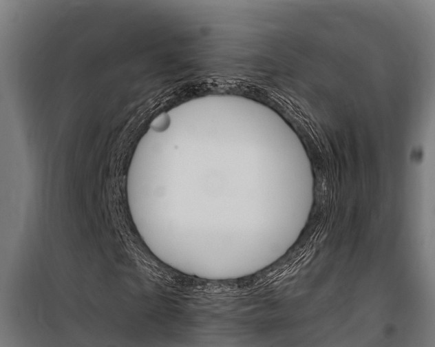 X0000100750865200806190820
