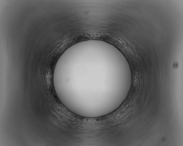 X0000100750866200806190820