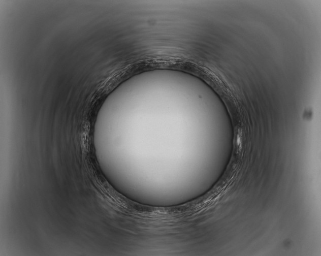 X0000100750867200806190820