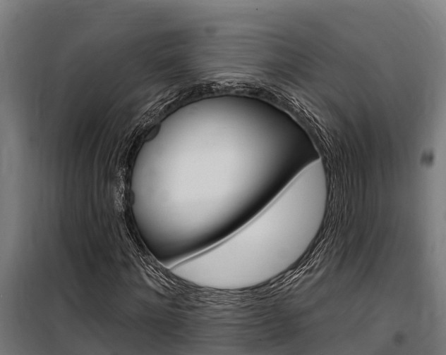 X0000100750868200806190820