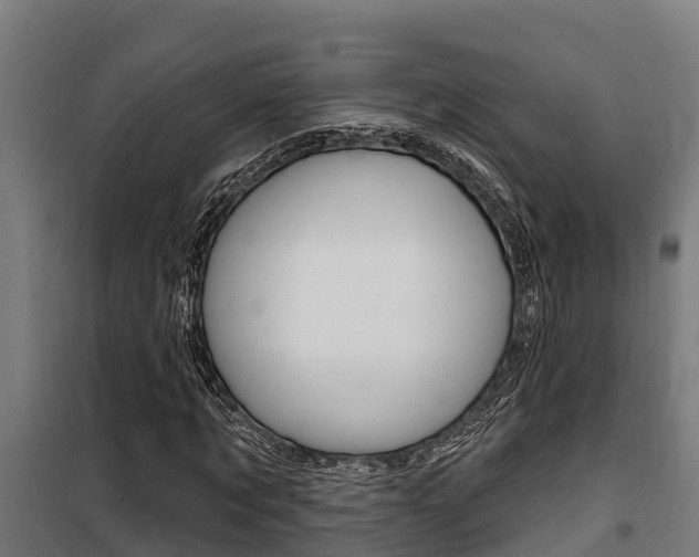X0000100750869200806190820