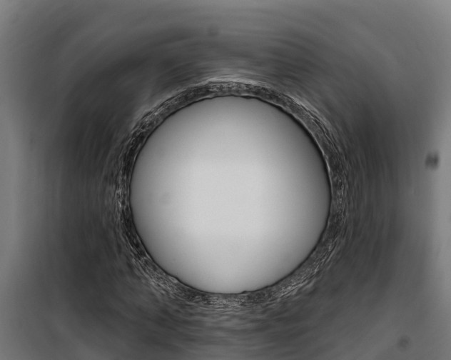 X0000100750870200806190820