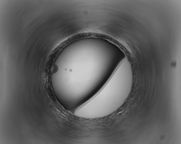 X0000100750872200806190820