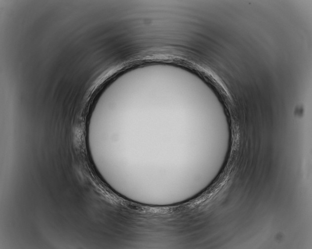 X0000100750874200806190820