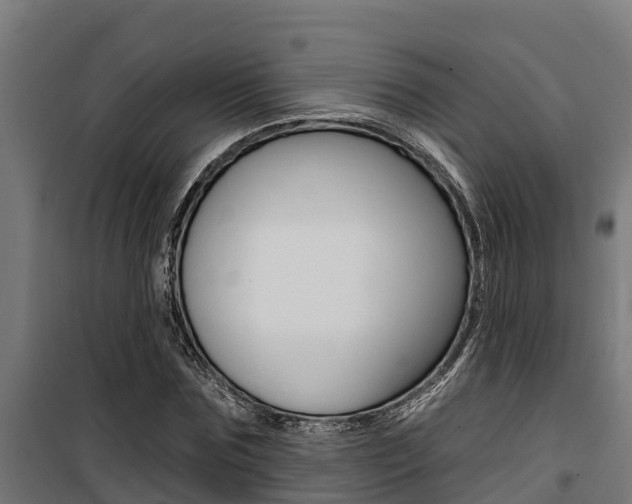 X0000100750875200806190820