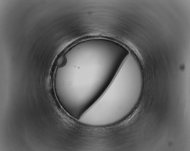 X0000100750876200806190820