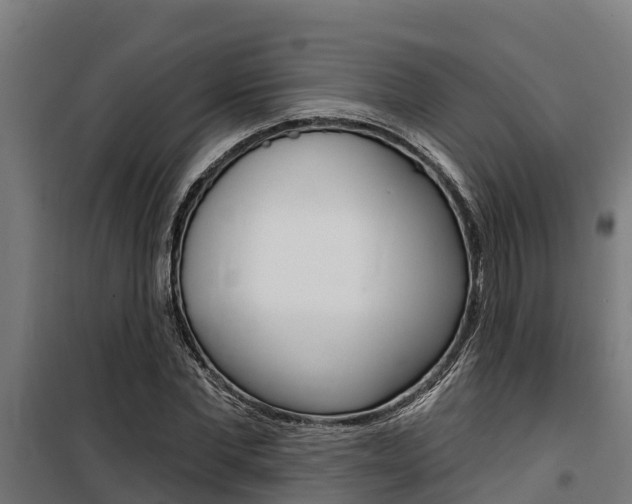 X0000100750877200806190820