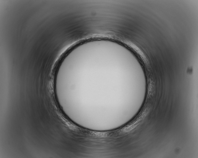 X0000100750878200806190820