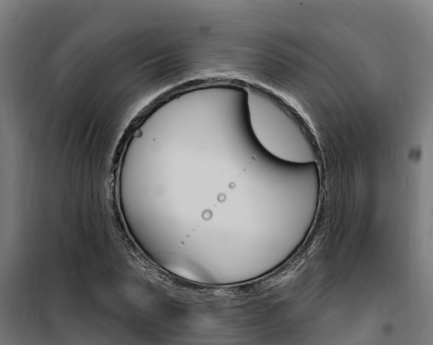 X0000100750879200806190820