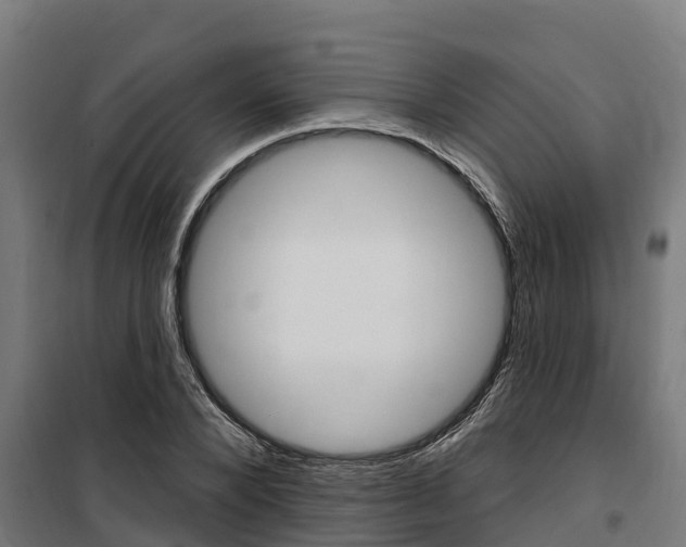 X0000100750880200806190820