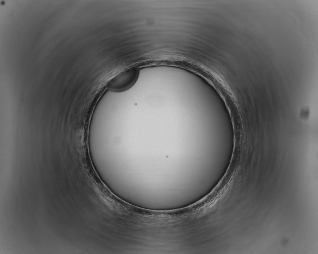 X0000100750881200806190820