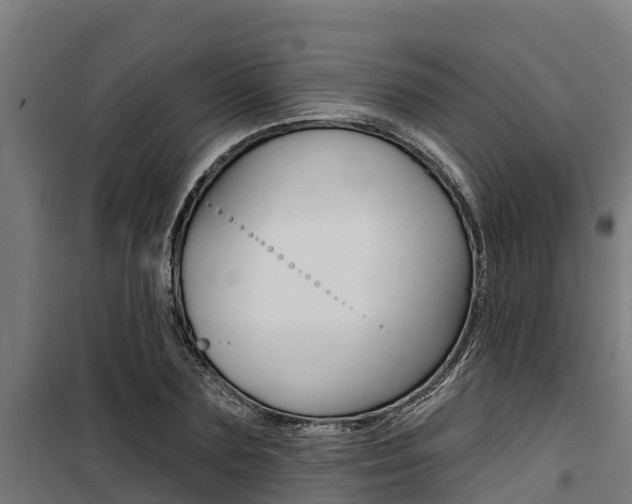 X0000100750883200806190820
