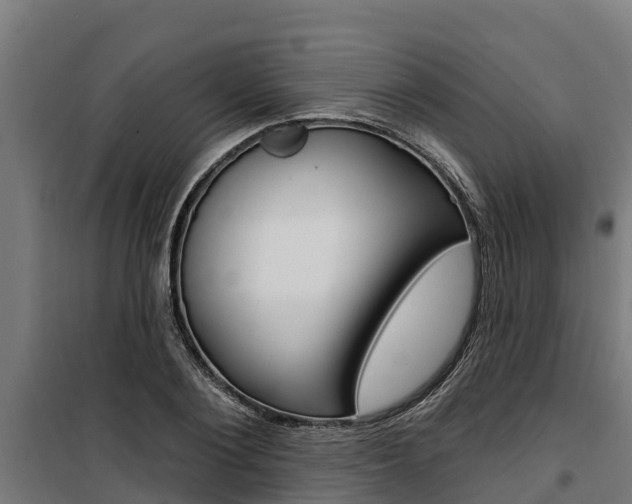 X0000100750884200806190820