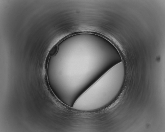 X0000100750885200806190820