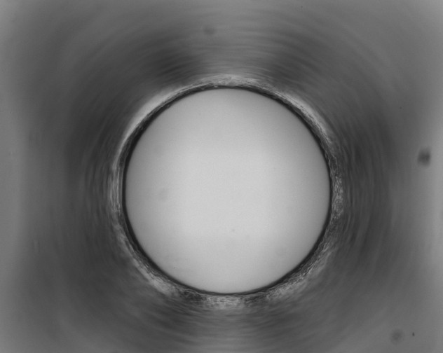X0000100750886200806190820