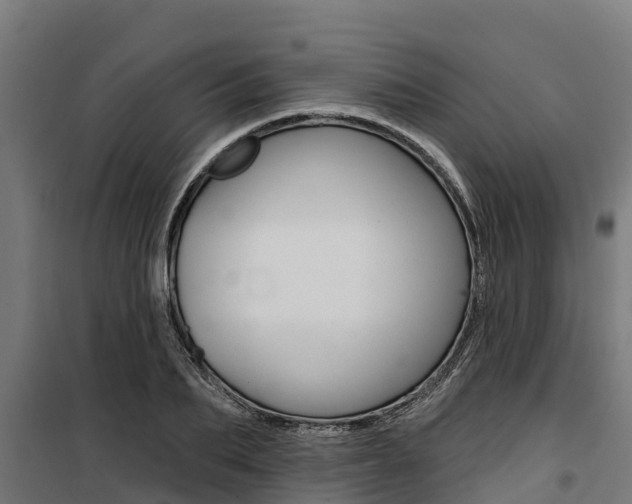 X0000100750887200806190820