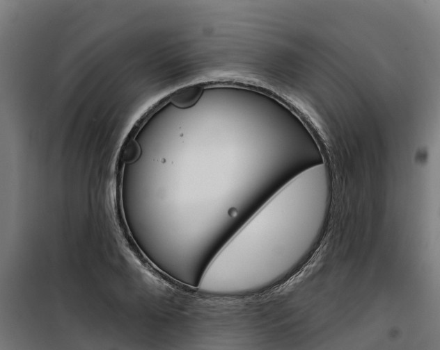 X0000100750888200806190820