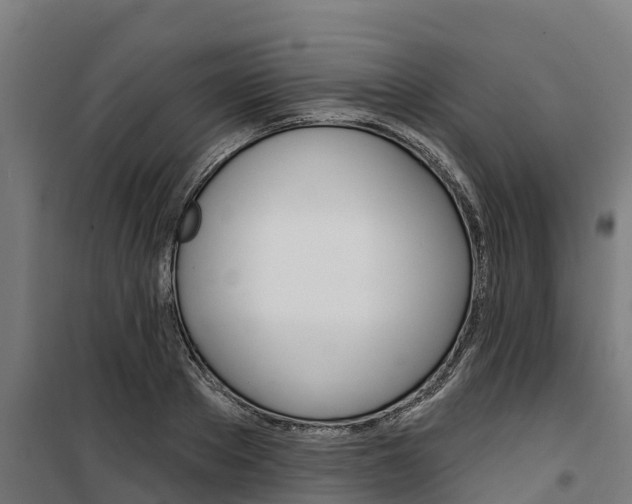 X0000100750889200806190820