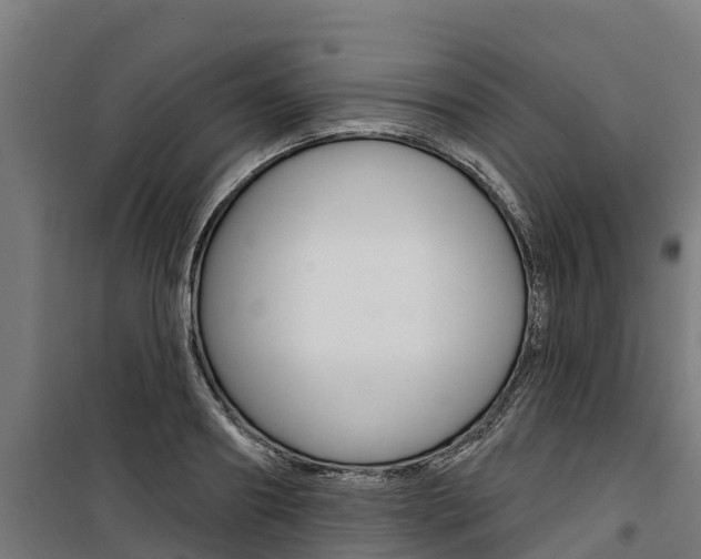 X0000100750890200806190820