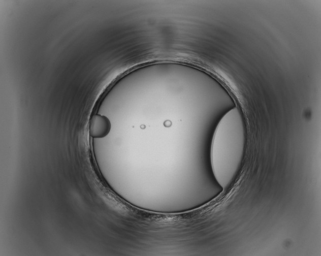 X0000100750891200806190820