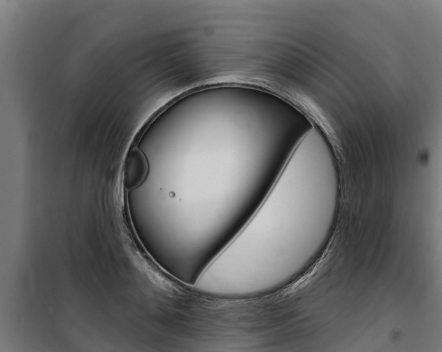 X0000100750892200806190820