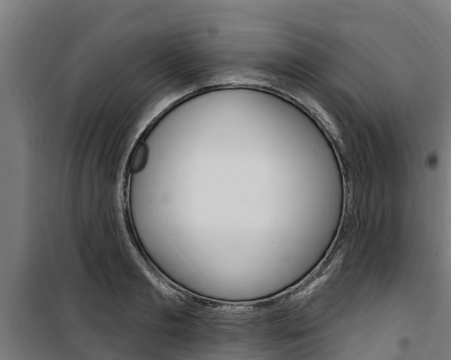 X0000100750893200806190820