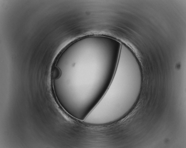 X0000100750894200806190820