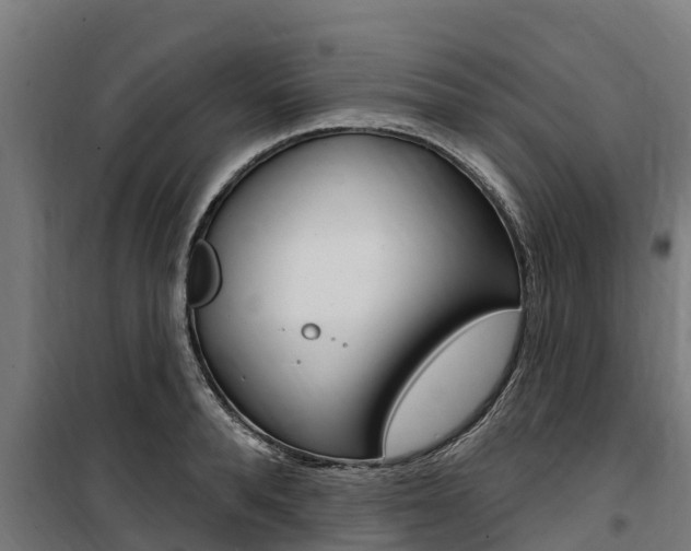 X0000100750896200806190820