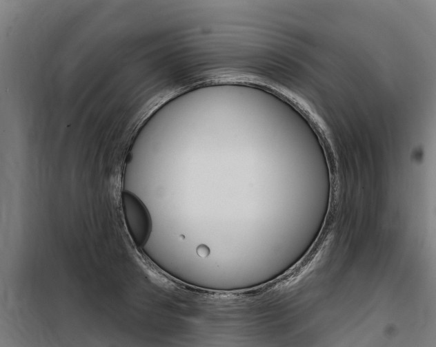 X0000100750897200806190820