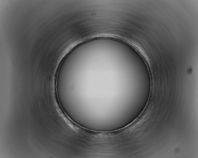 X0000100750898200806190820
