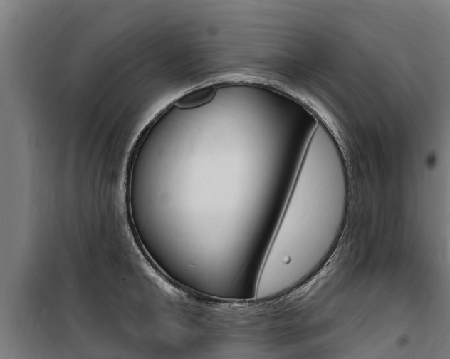 X0000100750902200806190820