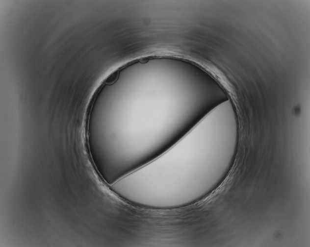 X0000100750904200806190820