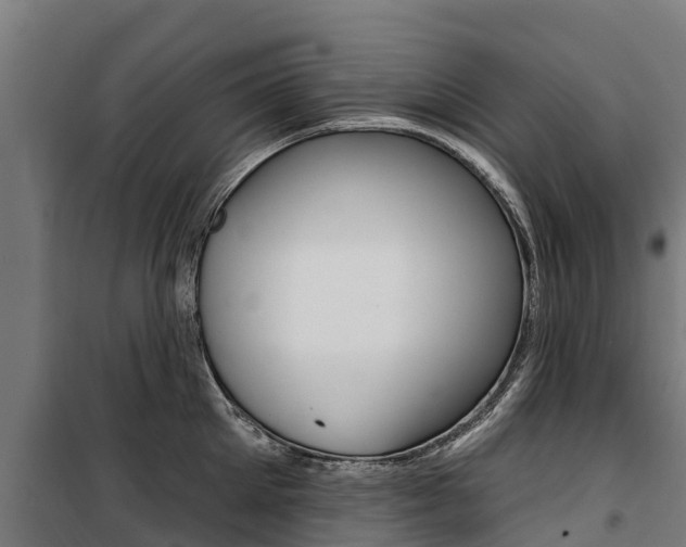 X0000100750905200806190820
