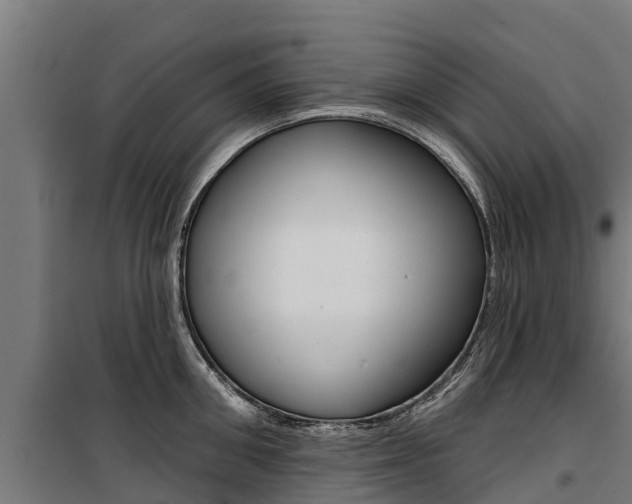 X0000100750906200806190820