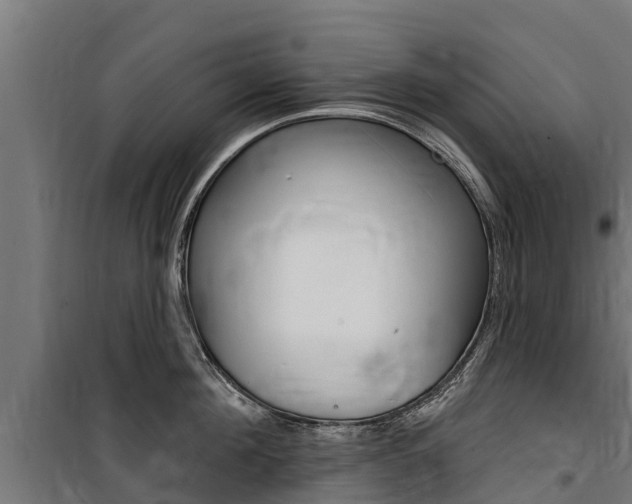 X0000100750908200806190820