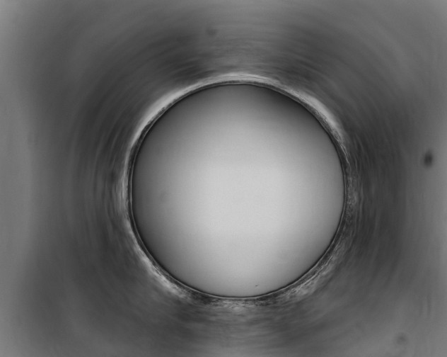 X0000100750910200806190820
