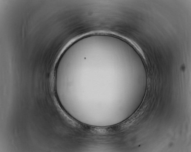 X0000100750911200806190820