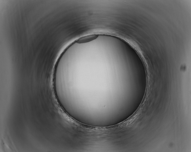 X0000100750912200806190820