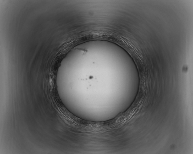 X0000100750914200806190819