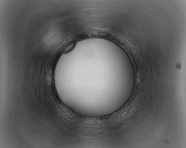 X0000100750915200806190819