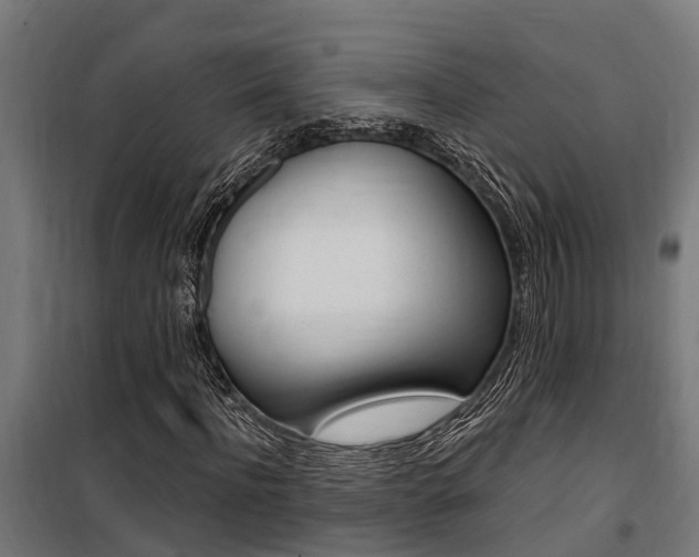 X0000100750916200806190819