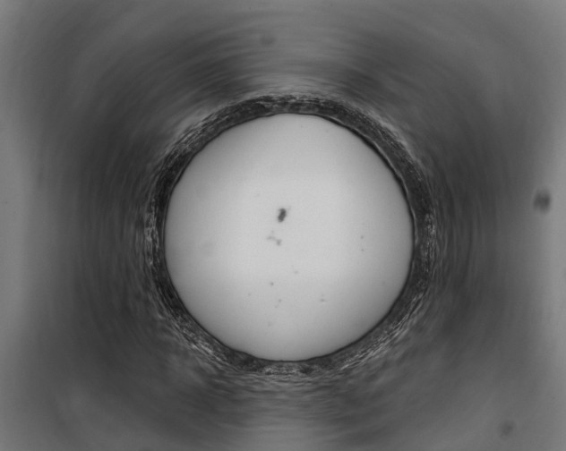 X0000100750918200806190819