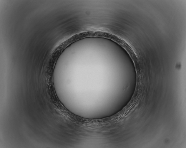 X0000100750919200806190819