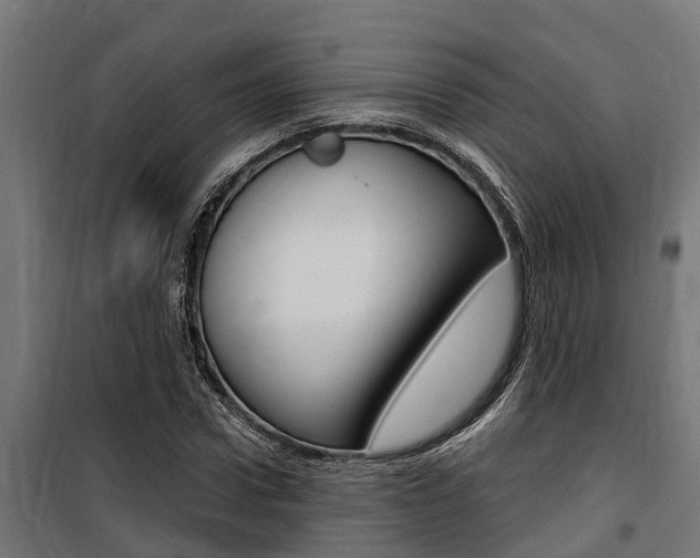 X0000100750922200806190819