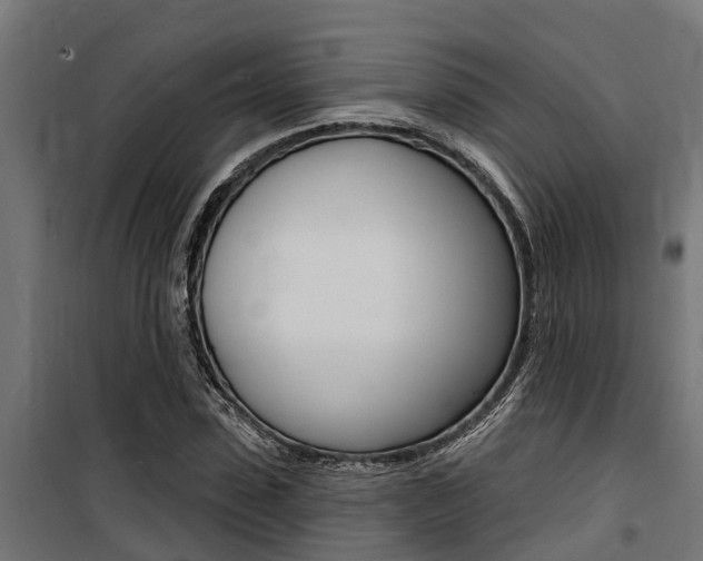 X0000100750923200806190819